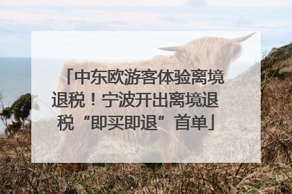 中东欧游客体验离境退税！宁波开出离境退税“即买即退”首单