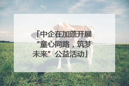 中企在加蓬开展“童心同路，筑梦未来”公益活动