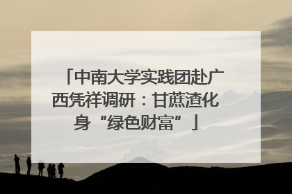 中南大学实践团赴广西凭祥调研：甘蔗渣化身“绿色财富”