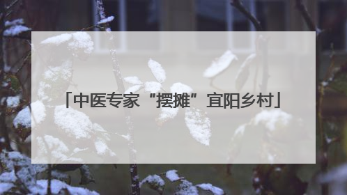 中医专家“摆摊”宜阳乡村