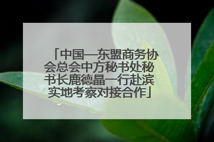 中国—东盟商务协会总会中方秘书处秘书长鹿德晶一行赴滨实地考察对接合作