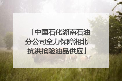 中国石化湖南石油分公司全力保障湘北抗洪抢险油品供应
