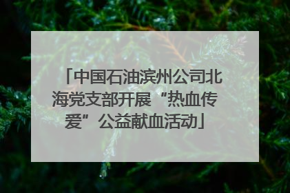 中国石油滨州公司北海党支部开展“热血传爱”公益献血活动