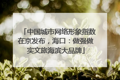 中国城市网络形象指数在京发布，海口：做强做实文旅海滨大品牌