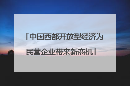 中国西部开放型经济为民营企业带来新商机