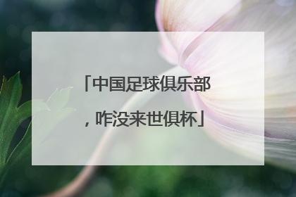 中国足球俱乐部，咋没来世俱杯