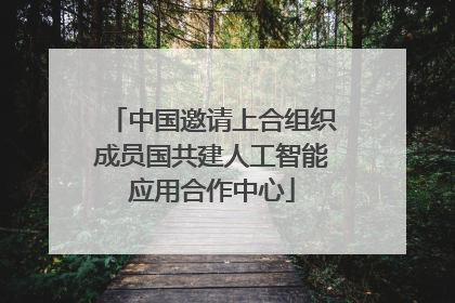 中国邀请上合组织成员国共建人工智能应用合作中心
