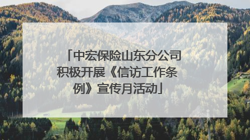 中宏保险山东分公司积极开展《信访工作条例》宣传月活动