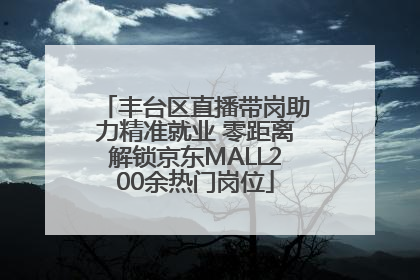 丰台区直播带岗助力精准就业 零距离解锁京东MALL200余热门岗位