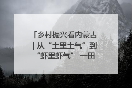 乡村振兴看内蒙古｜从“土里土气”到“虾里虾气” 一田双收模式火出圈