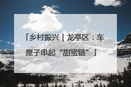 乡村振兴｜龙亭区：车厘子串起“甜蜜链”