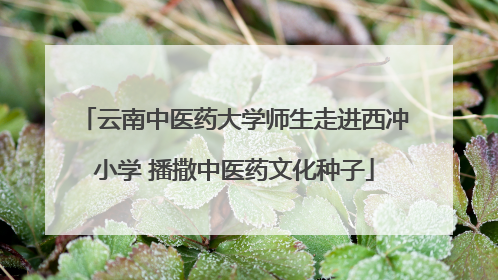 云南中医药大学师生走进西冲小学 播撒中医药文化种子