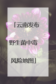 云南发布野生菌中毒风险地图