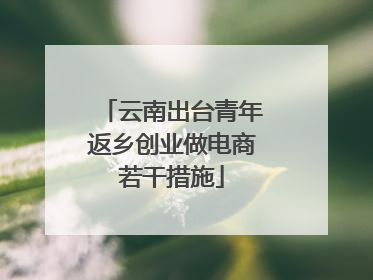 云南出台青年返乡创业做电商若干措施