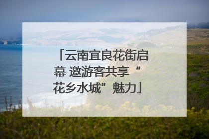 云南宜良花街启幕 邀游客共享“花乡水城”魅力