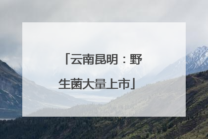 云南昆明：野生菌大量上市