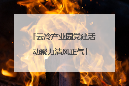 云冷产业园党建活动聚力清风正气