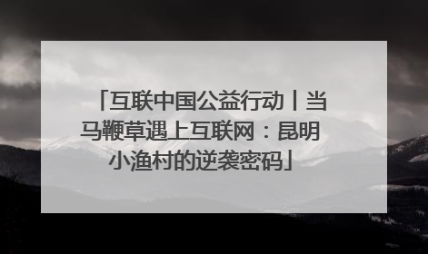 互联中国公益行动丨当马鞭草遇上互联网：昆明小渔村的逆袭密码