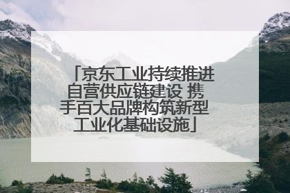 京东工业持续推进自营供应链建设 携手百大品牌构筑新型工业化基础设施