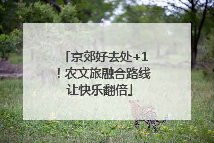 京郊好去处+1！农文旅融合路线让快乐翻倍