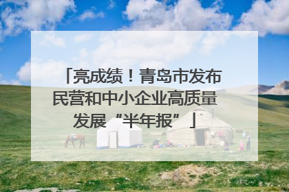 亮成绩！青岛市发布民营和中小企业高质量发展“半年报”