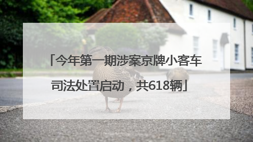 今年第一期涉案京牌小客车司法处置启动，共618辆