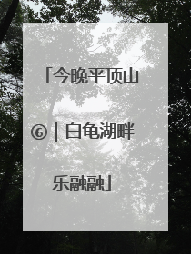 今晚平顶山⑥｜白龟湖畔乐融融