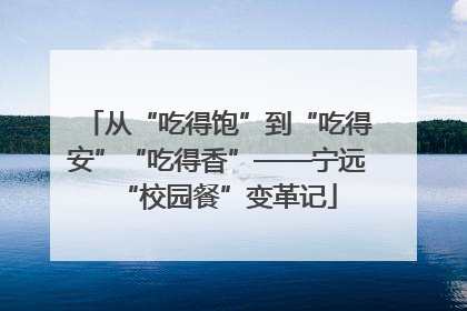从“吃得饱”到“吃得安”“吃得香”——宁远“校园餐”变革记
