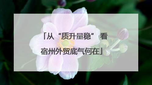从“质升量稳” 看宿州外贸底气何在