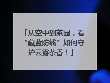 从空中到茶园，看“藏蓝防线”如何守护云雾茶香！