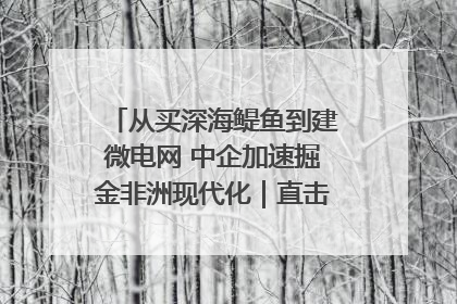 从买深海鳀鱼到建微电网 中企加速掘金非洲现代化｜直击中非经贸博览会