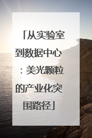 从实验室到数据中心：美光颗粒的产业化突围路径