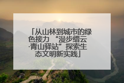 从山林到城市的绿色接力 “漫步缙云·青山驿站”探索生态文明新实践