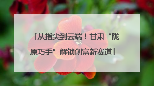 从指尖到云端！甘肃“陇原巧手”解锁创富新赛道