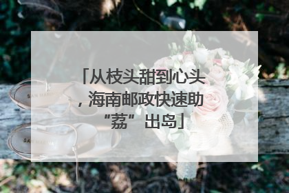 从枝头甜到心头，海南邮政快速助“荔”出岛