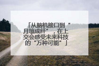 从脑机接口到“月壤成纤”，在上交会感受未来科技的“万种可能”