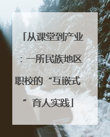从课堂到产业：一所民族地区职校的“互嵌式”育人实践