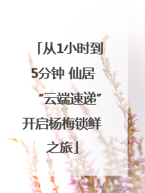 从1小时到5分钟 仙居“云端速递”开启杨梅锁鲜之旅
