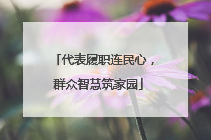 代表履职连民心，群众智慧筑家园