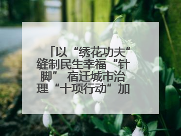 以“绣花功夫”缝制民生幸福“针脚” 宿迁城市治理“十项行动”加速落地