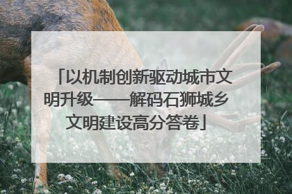 以机制创新驱动城市文明升级——解码石狮城乡文明建设高分答卷