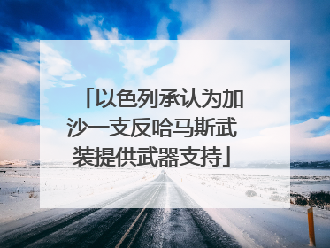 以色列承认为加沙一支反哈马斯武装提供武器支持