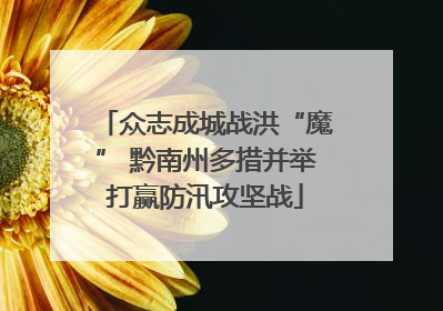 众志成城战洪“魔” 黔南州多措并举打赢防汛攻坚战
