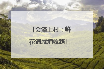 会泽上村：鲜花铺就增收路
