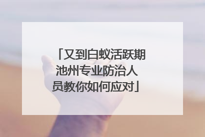 又到白蚁活跃期 池州专业防治人员教你如何应对