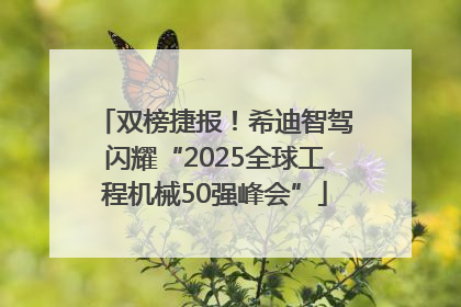双榜捷报！希迪智驾闪耀“2025全球工程机械50强峰会”