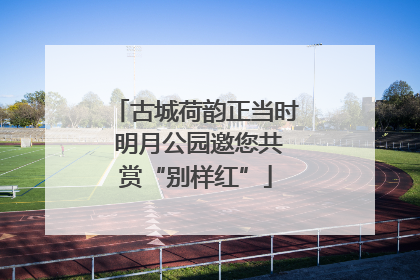 古城荷韵正当时 明月公园邀您共赏“别样红”