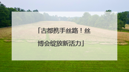 古都携手丝路！丝博会绽放新活力