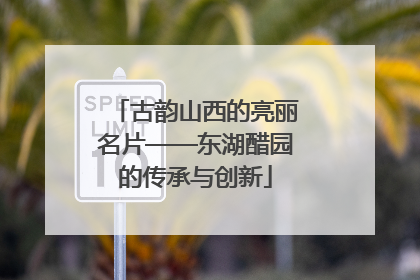 古韵山西的亮丽名片——东湖醋园的传承与创新