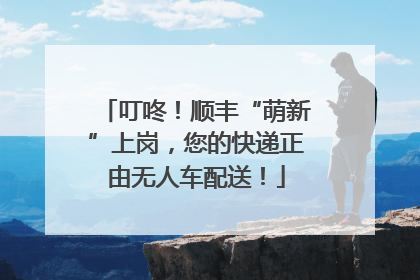 叮咚！顺丰“萌新”上岗，您的快递正由无人车配送！